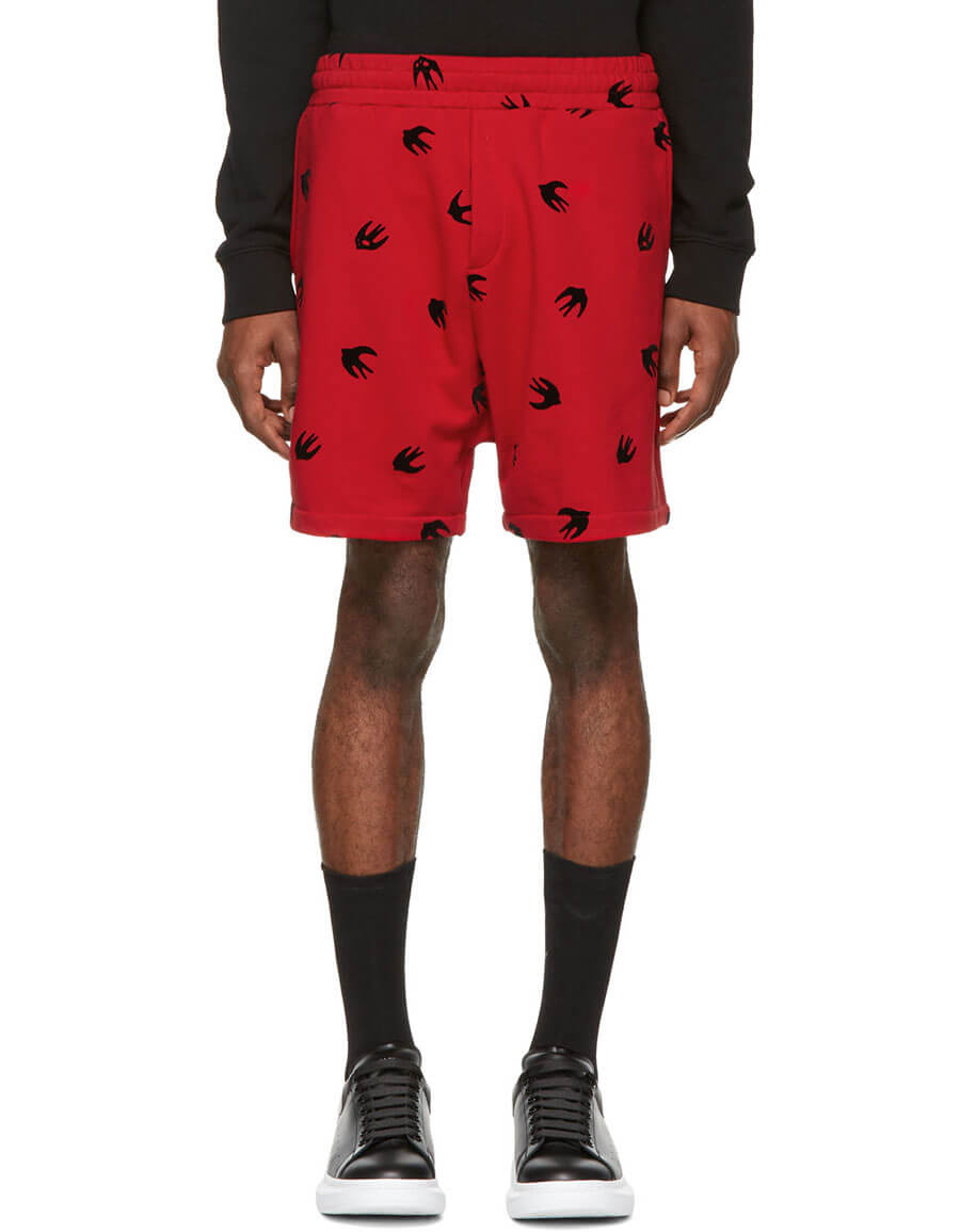 ALEXANDER MCQUEEN Red Mini Swallow 